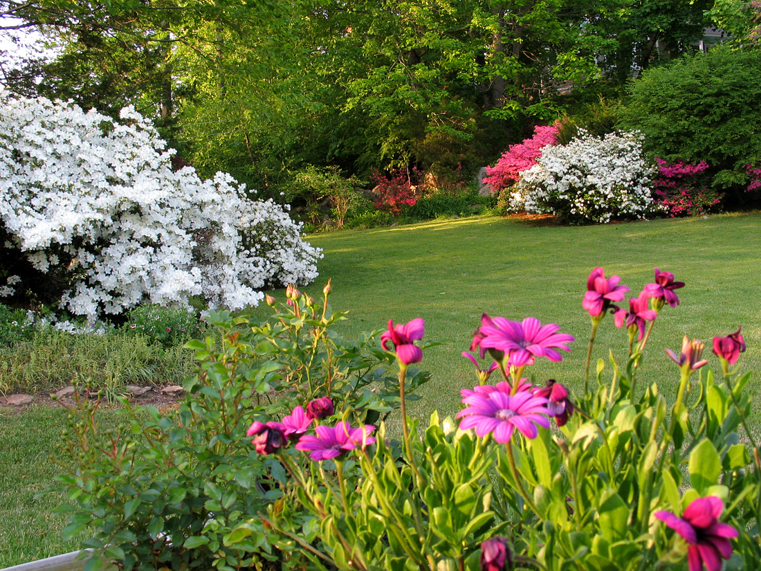 Springtime