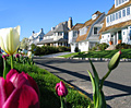 Rowayton