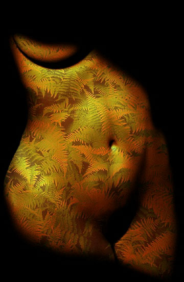 Fern