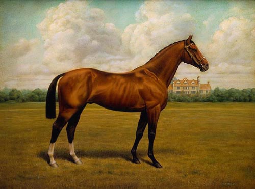 Horse