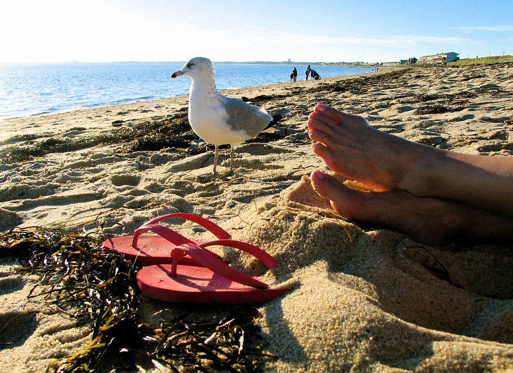 Sun Though Bay Waves