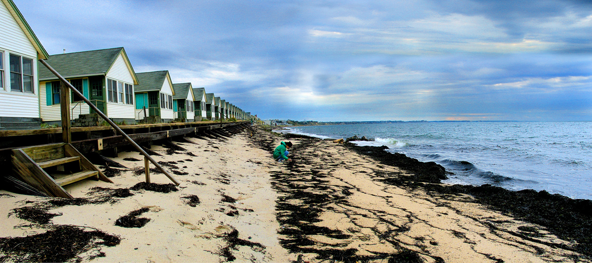 Gathering Seashells In Autumn