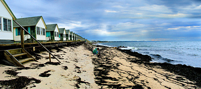 Gathering Seashells in Autumn