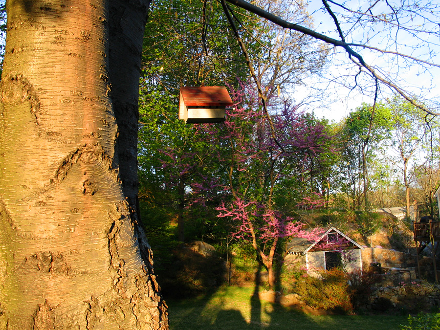 Birdhouse