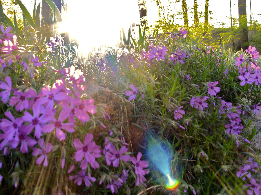 Wind and Light