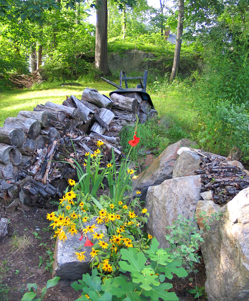 Woodpile